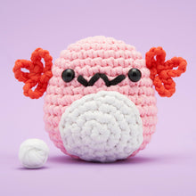 Load image into Gallery viewer, Strawberry the Axolotl Crochet Kit