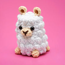 Load image into Gallery viewer, The Slow and Steady Bundle