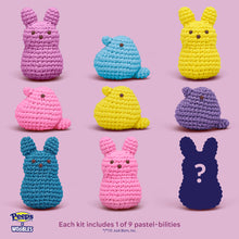 Load image into Gallery viewer, Mystery PEEPS® Crochet Kit
