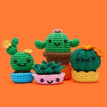 Load image into Gallery viewer, Prickle Your Fancy Bundle