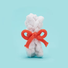 Load image into Gallery viewer, Hooray for the Owl-edictorian Bundle