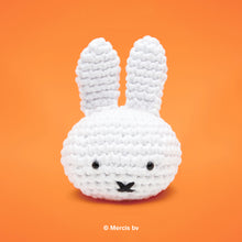 Load image into Gallery viewer, Miffy Crochet Kit