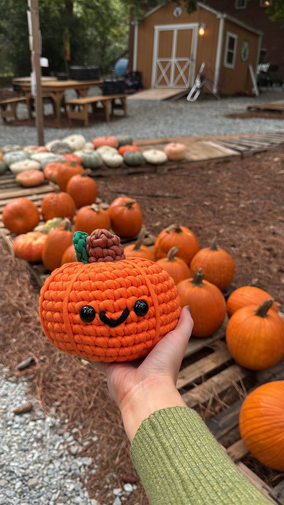 New Crafts to Explore With an Online Kit
