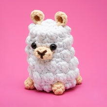 Load image into Gallery viewer, Old MacYarn-ald Had a Farm Bundle
