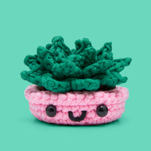 Load image into Gallery viewer, Jade the Succulent Crochet Kit
