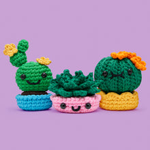 Load image into Gallery viewer, We'll Never Desert You Bundle
