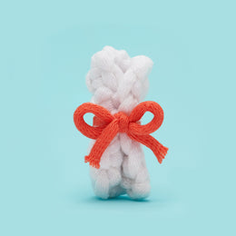 Tiny Rolled Diploma Accessory Kit