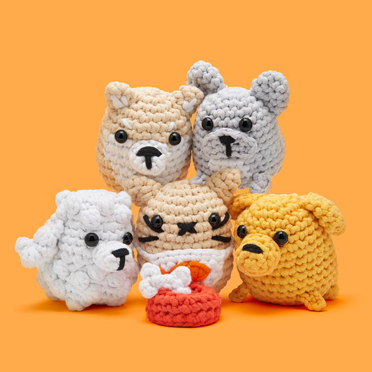 Get This Paw-ty Started Bundle