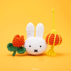 Tiny Miffy Chinese Lantern Accessory Kit